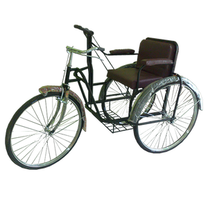 Tricycle for handicapped on sale adults